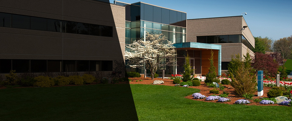 Ocean City Landscapers